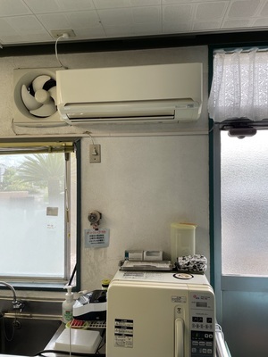 IMG_5087 2_コピー